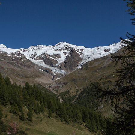 Hotel De Gletscher Gressoney-la-Trinité Zewnętrze zdjęcie